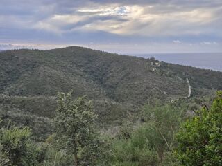  Terrain � vendre 67280 m� Bormes-les-mimosas