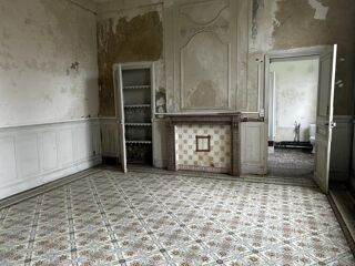  H�tel Particulier � vendre 7 pi�ces 272 m�