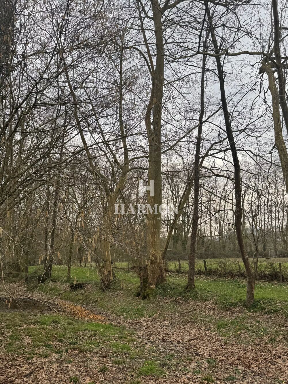 � vendre  Maison Saint-P�e-sur-Nivelle (64310)