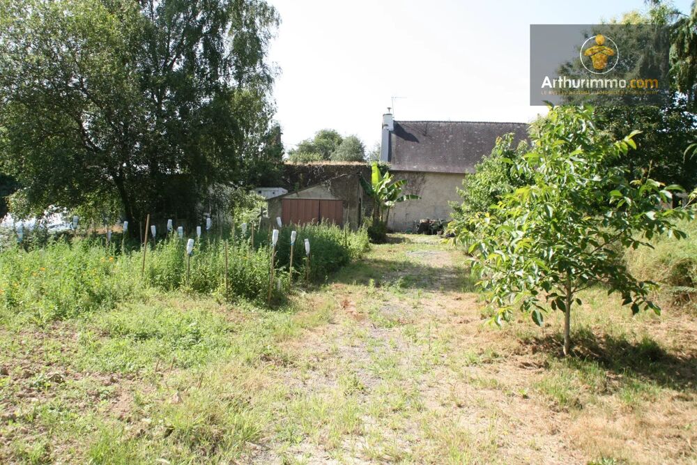 JOSSELIN MAISON 3 CHAMBRES AVEC 3 000 M² DE TERRAIN