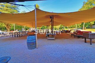  Maison � vendre 15 + pi�ces 830 m�