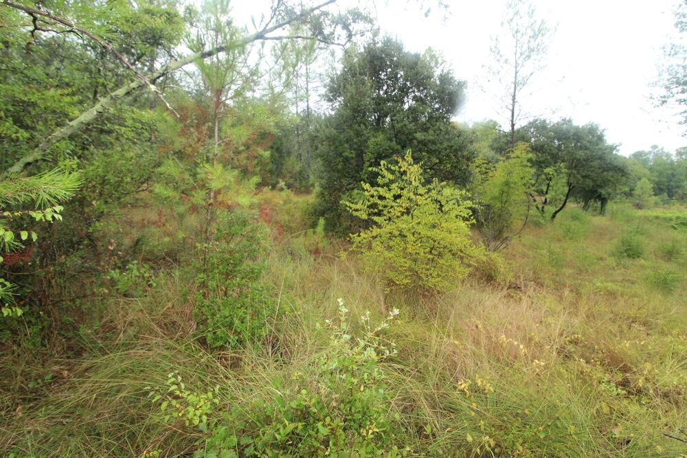 Vente Terrain beau terrain non constructible Les arcs