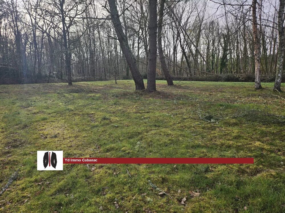 Vente Terrain TERRAIN CONSTRUCTIBLE DANS UN ECRIN DE VERDURE Louchats
