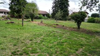  Terrain  vendre 985 m