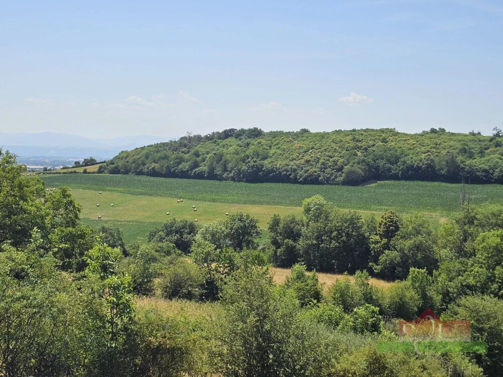 MOISIEU SUR DOLON, Villa 2005 de 124 m² sur sous-sol complet, te
