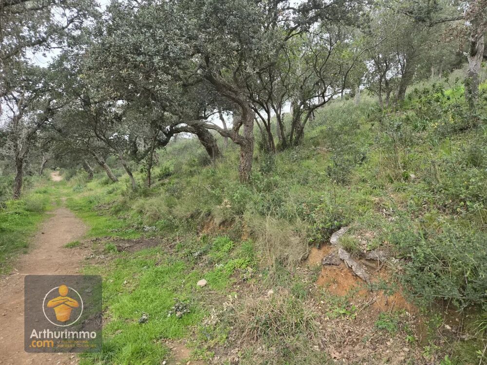 Vente Terrain Terrain Non Constructible à Bormes-les-Mimosas, 2.74 Ha Bormes-les-mimosas