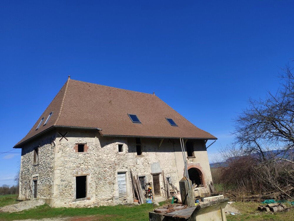 Vente Immeuble EXCLUSIVITÉ - FERME FORTE, DÉPENDANCES, ESPACES ET PATRIMOINE Saint-jean-d'avelanne