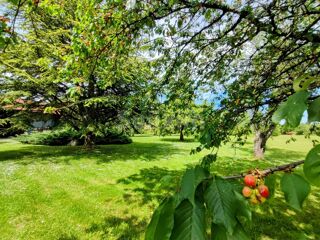  Maison � vendre 9 pi�ces 338 m�