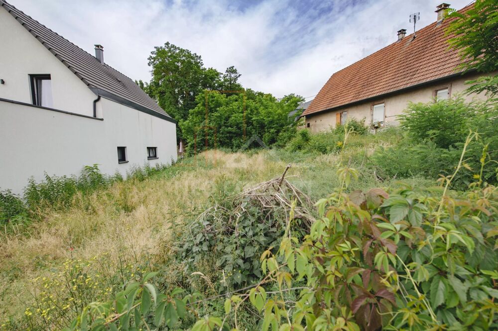 Vente Terrain OBERHOFFEN SUR MODER vous avez un projet ? BELLE PARCELLE A NE P Oberhoffen-sur-moder