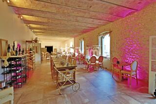  Maison � vendre 15 + pi�ces 830 m�