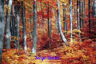  Terrain � vendre 4730 m�