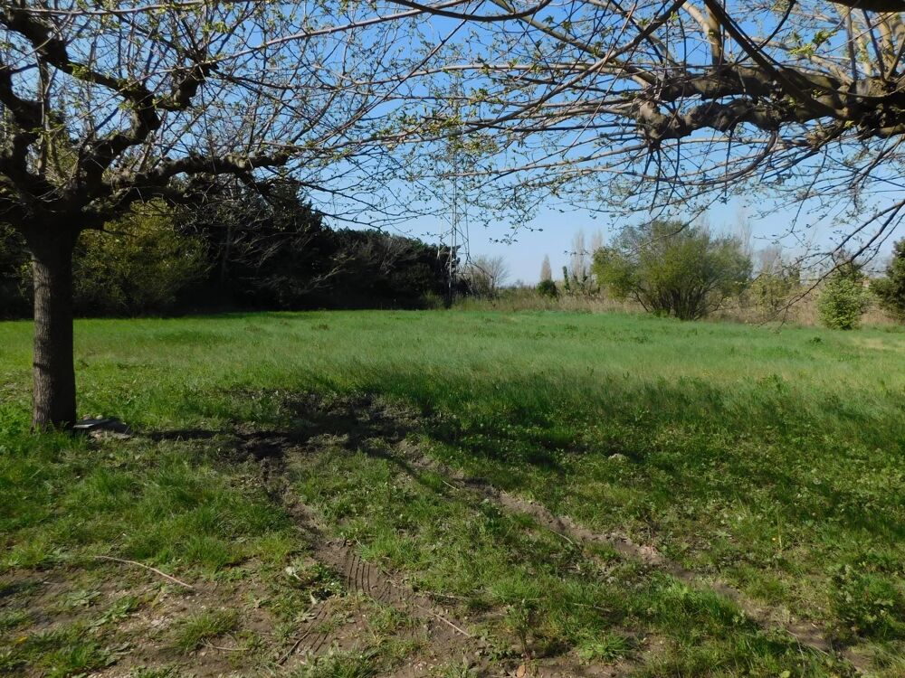 � vendre  Maison Arles (13200)