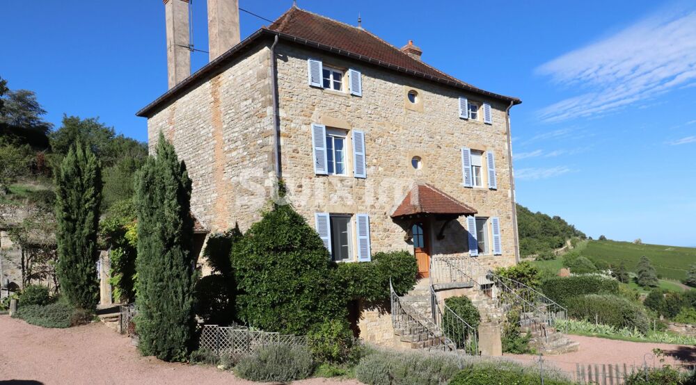 Vente Maison PROPRIETE DE CARACTERE AVEC VUE EXCEPTIONNELLE Culles-les-roches