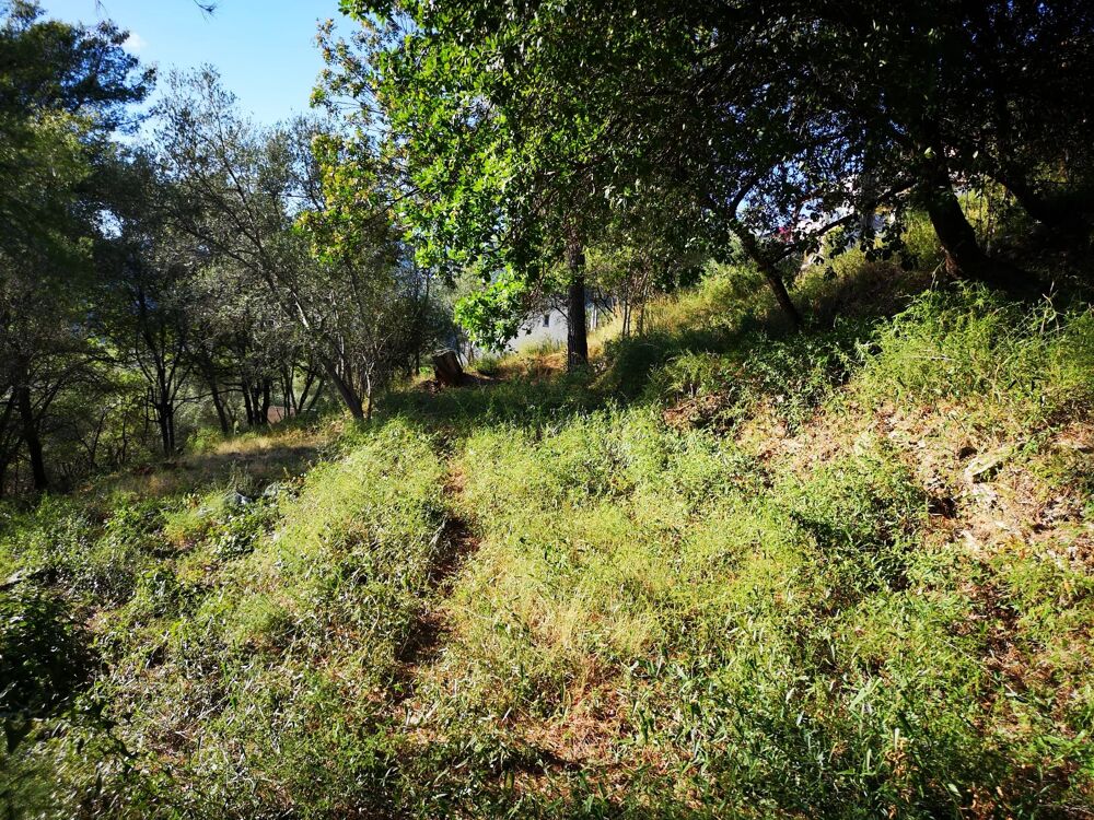 Vente Terrain Quartier résidentiel Saint-martin-du-var