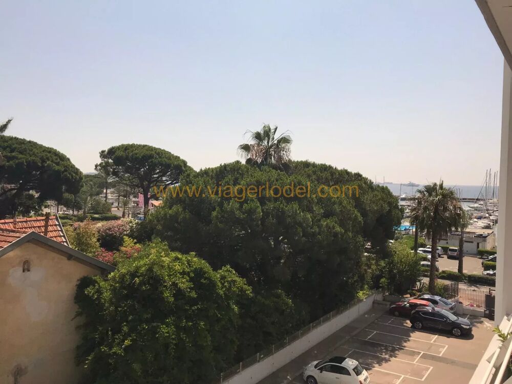 Location Appartement Ref – 8443 LOCATION MEUBLEE GOLFE JUAN Bord de mer - Capitaineri Golfe-juan