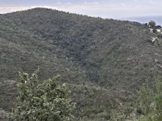  Terrain à vendre 67280 m²
