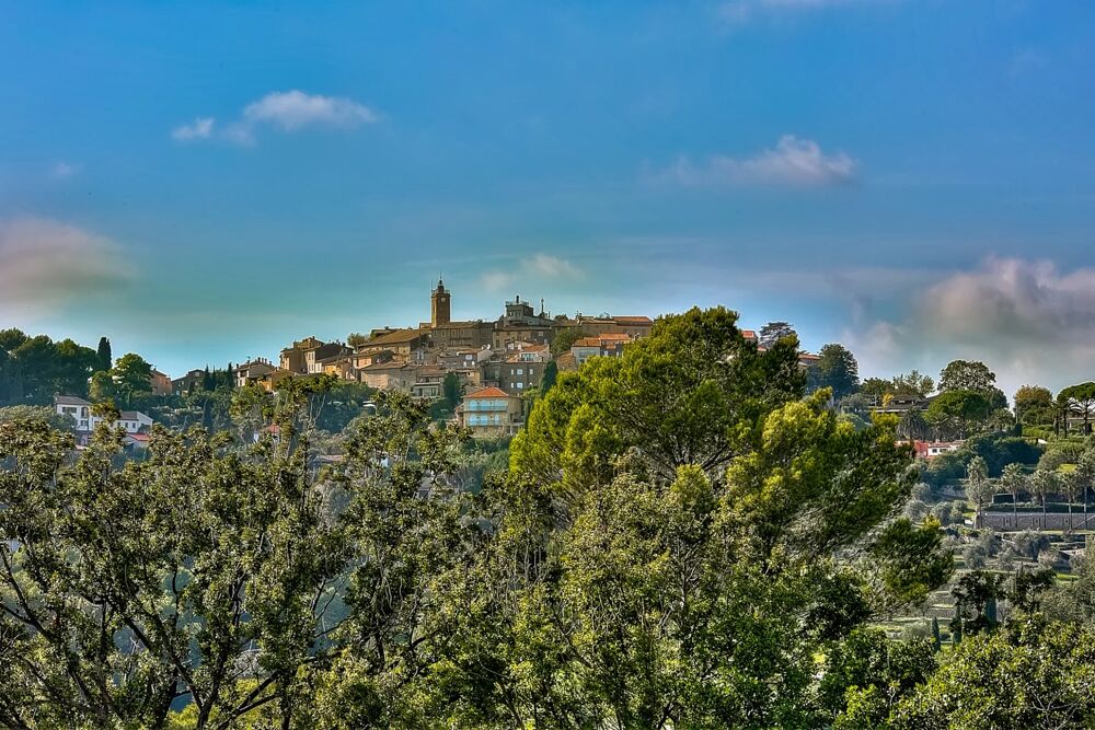 à vendre  Maison Mougins (06250)