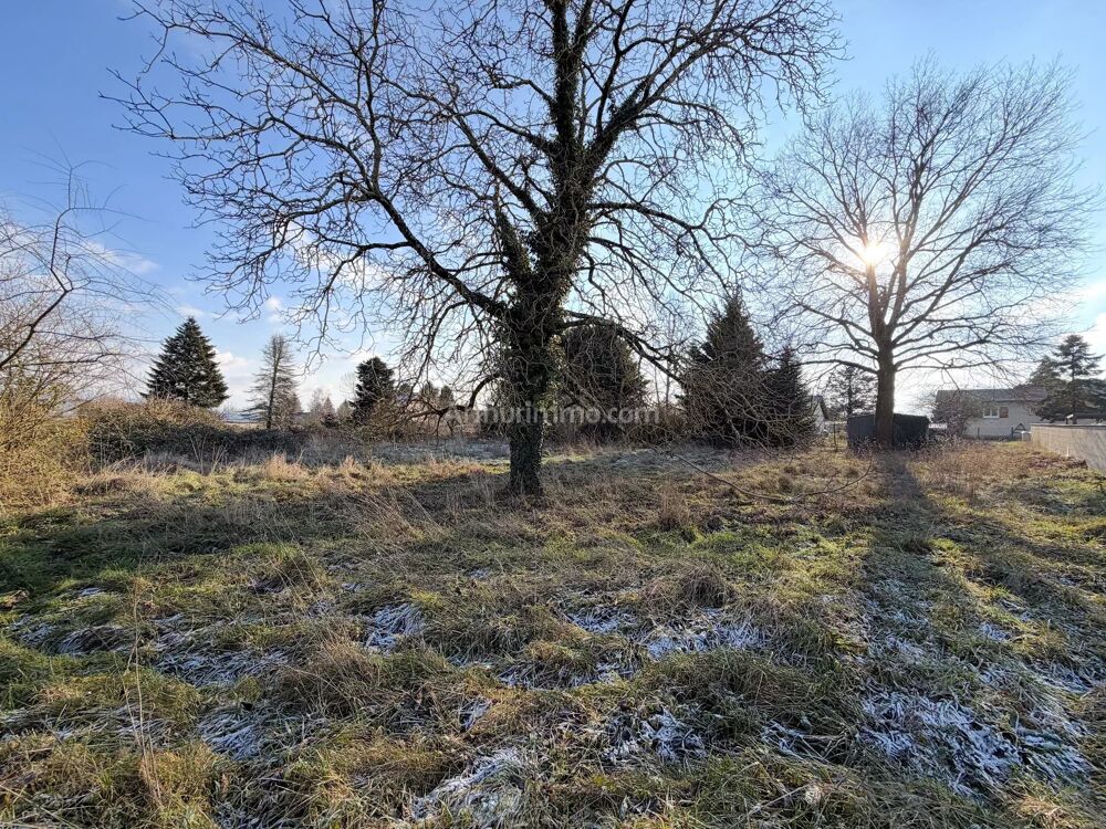 Vente Terrain Terrain 1 786 m² - LES AVENIERES VEYRINS-THUELLIN Les avenières veyrins-thuellin