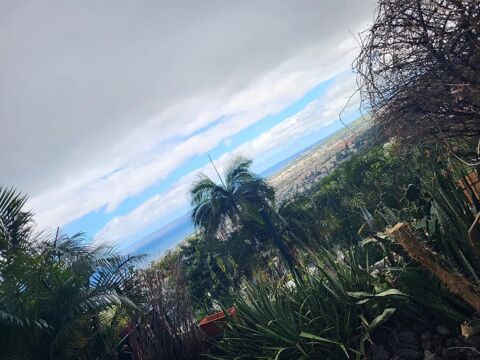  Appartement � louer 1 pi�ce 28 m�