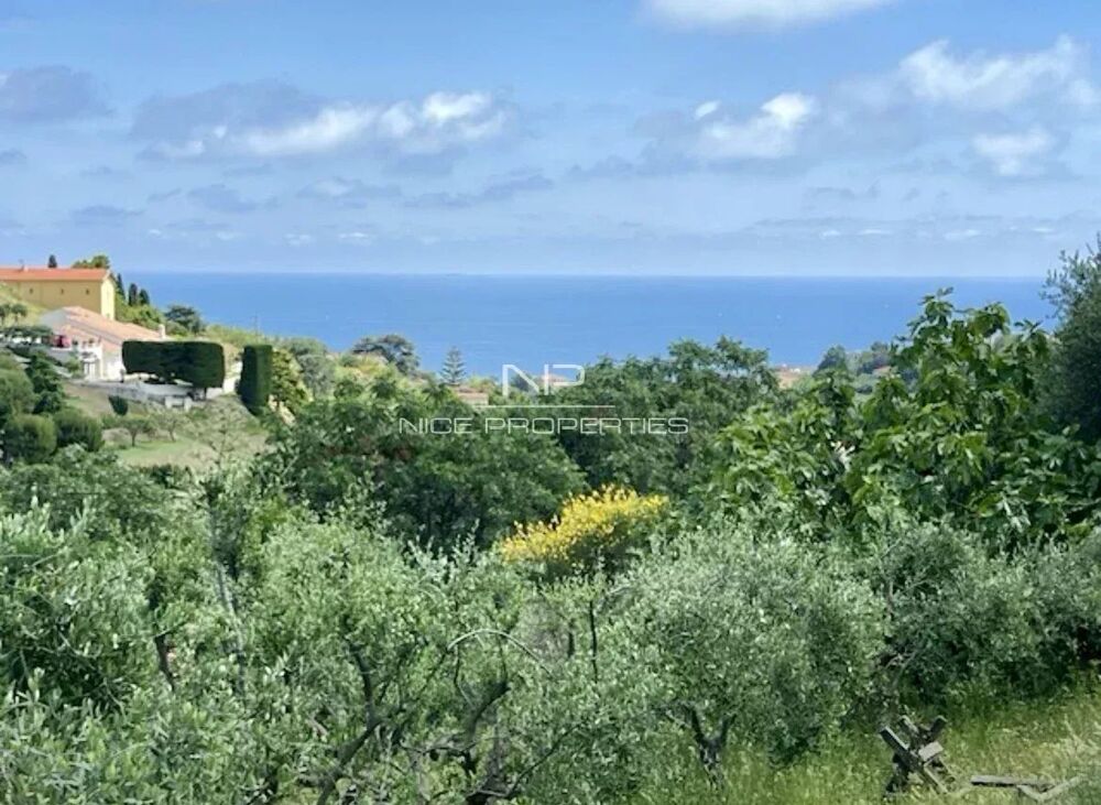 Vente Terrain Bellet, Terrain constructible avec vue mer Nice