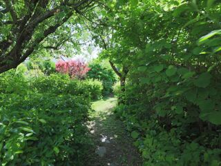  Maison � vendre 6 pi�ces 193 m�