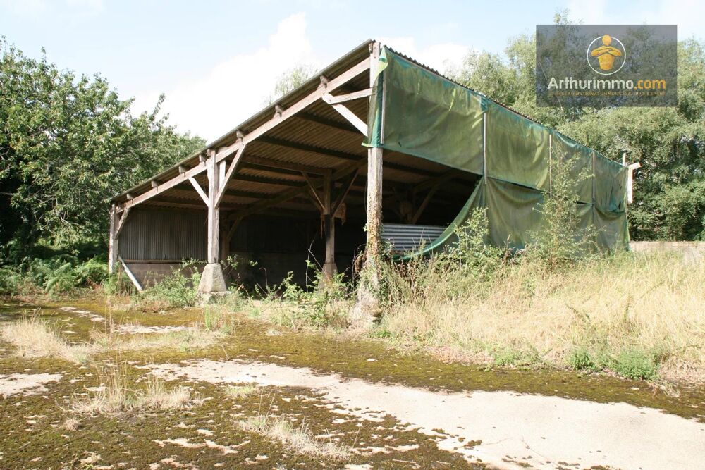 Vente Terrain GUEHENNO TERRAIN DE 3 000 M² AVEC UNE PARTIE CONSTRUCTIBLE Guéhenno