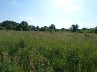  Terrain � vendre 4910 m� Vignoux-sur-barangeon