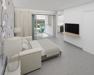  Appartement  vendre 1 pice 27 m