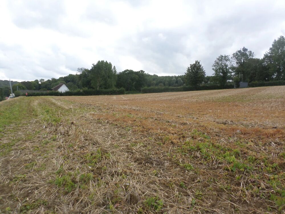 Vente Terrain TERRAIN A BATIR Doudeauville