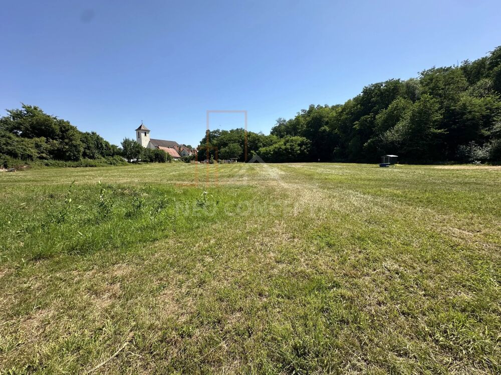 Vente Terrain EXCLUSIVITE NEO CONCEPT IMMO Neewiller-près-lauterbourg