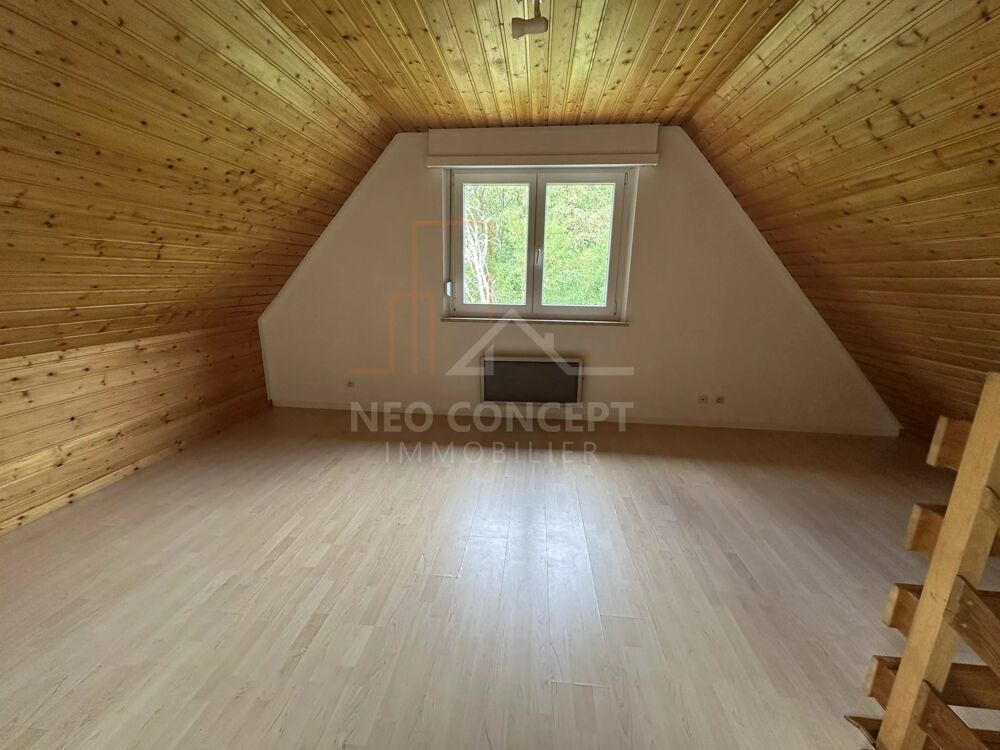 Location Appartement - Exclusivité Neo Concept Immo - Seltz
