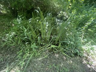  Terrain � vendre 1188 m�