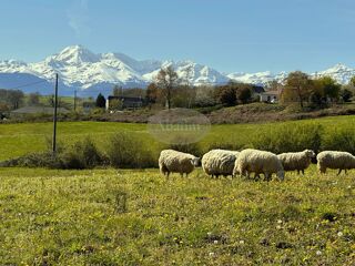  Maison � vendre 4 pi�ces 168 m�