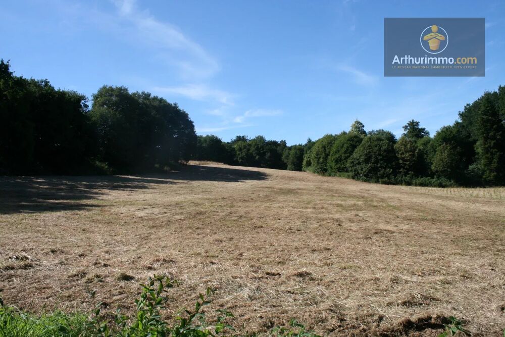 Vente Terrain JOSSELIN TERRAIN AGRICOLE 16 300 M² Josselin