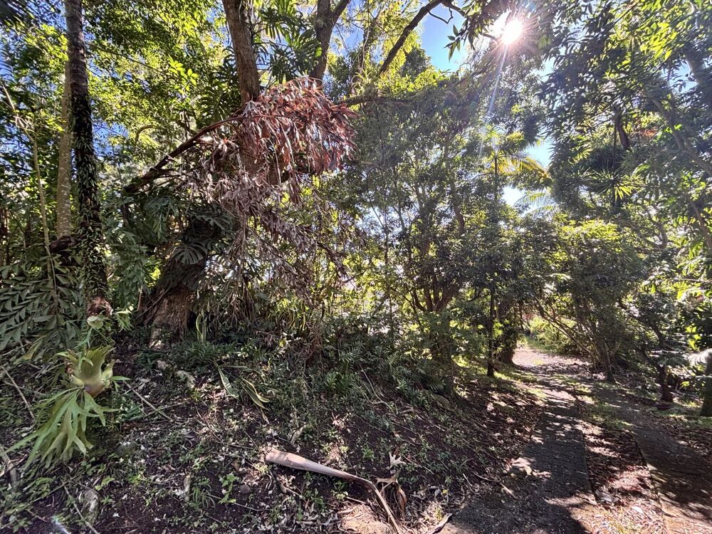 Vente Maison Propriété - 8 pièces - terrain de 4800 m² Saint-denis