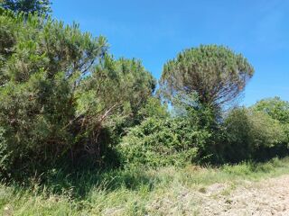  Terrain à vendre 1 pièce 800 m²