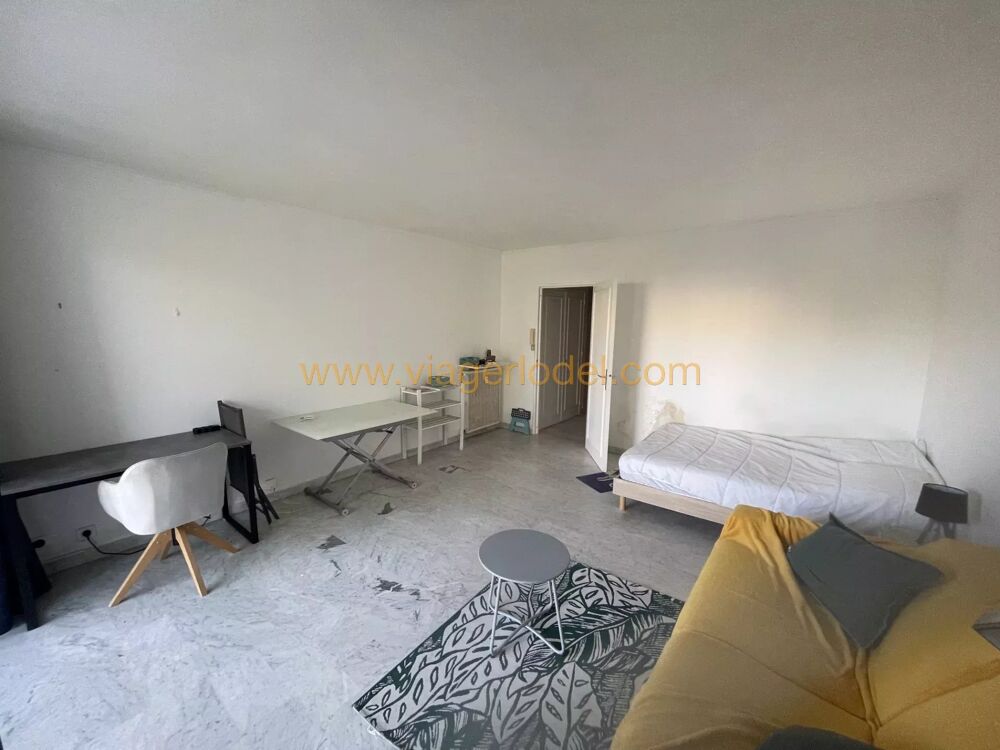 Location Appartement Ref – 8443 LOCATION MEUBLEE GOLFE JUAN Bord de mer - Capitaineri Golfe-juan