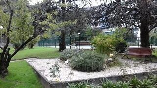  Appartement � louer 1 pi�ce 25 m�