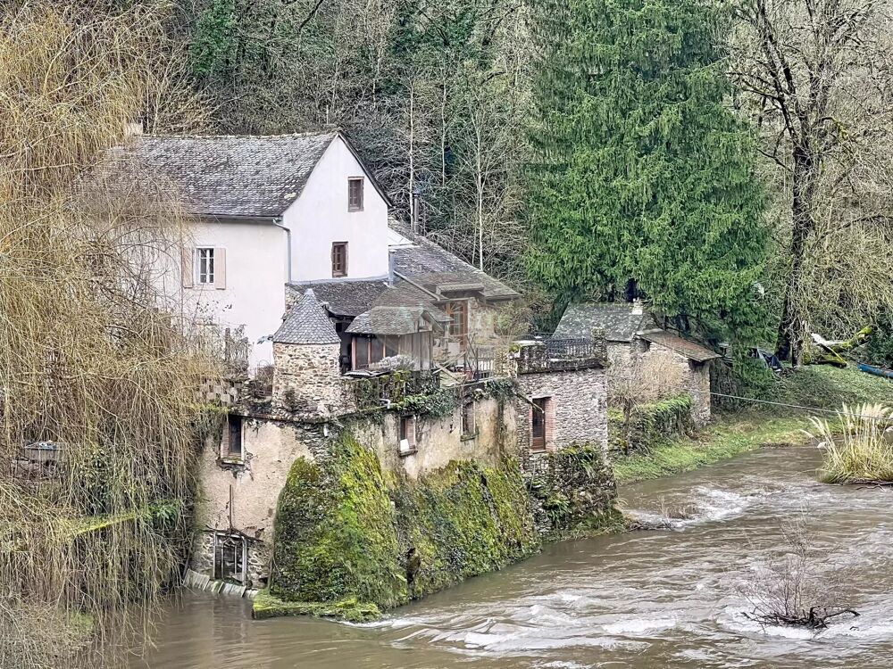 Ancien Moulin Cadre Bucolique
