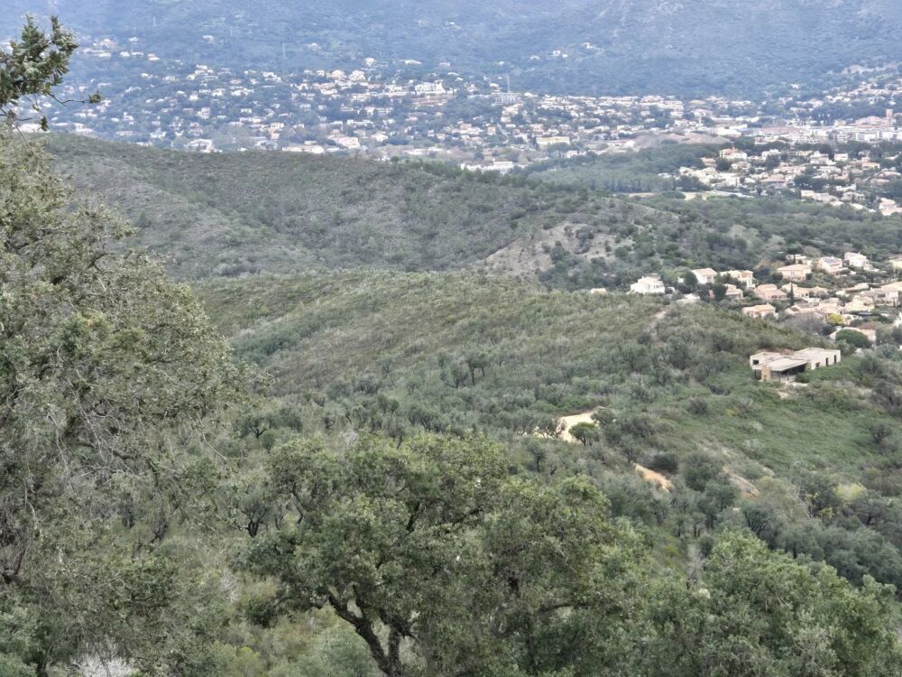 Vente Terrain Terrain Non Constructible à Bormes-les-Mimosas Bormes-les-mimosas