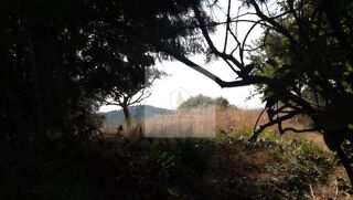  Terrain � vendre 