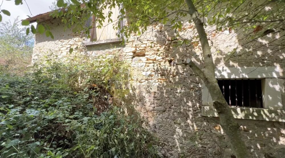 2 maisons à rénover + ruine, 4.000m2, compteur d'eau