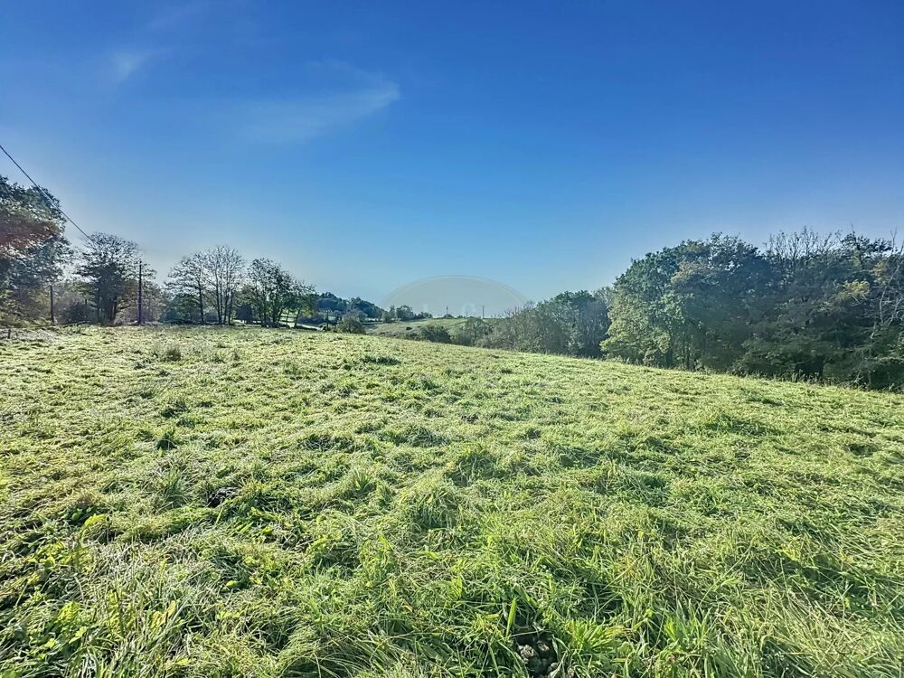 Vente Terrain Terrain constructible Lanespède