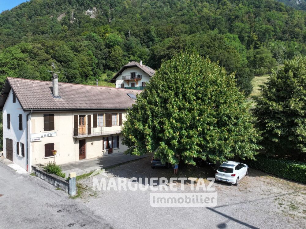 à vendre  Hôtel Particulier Saint-Jeoire (74490)