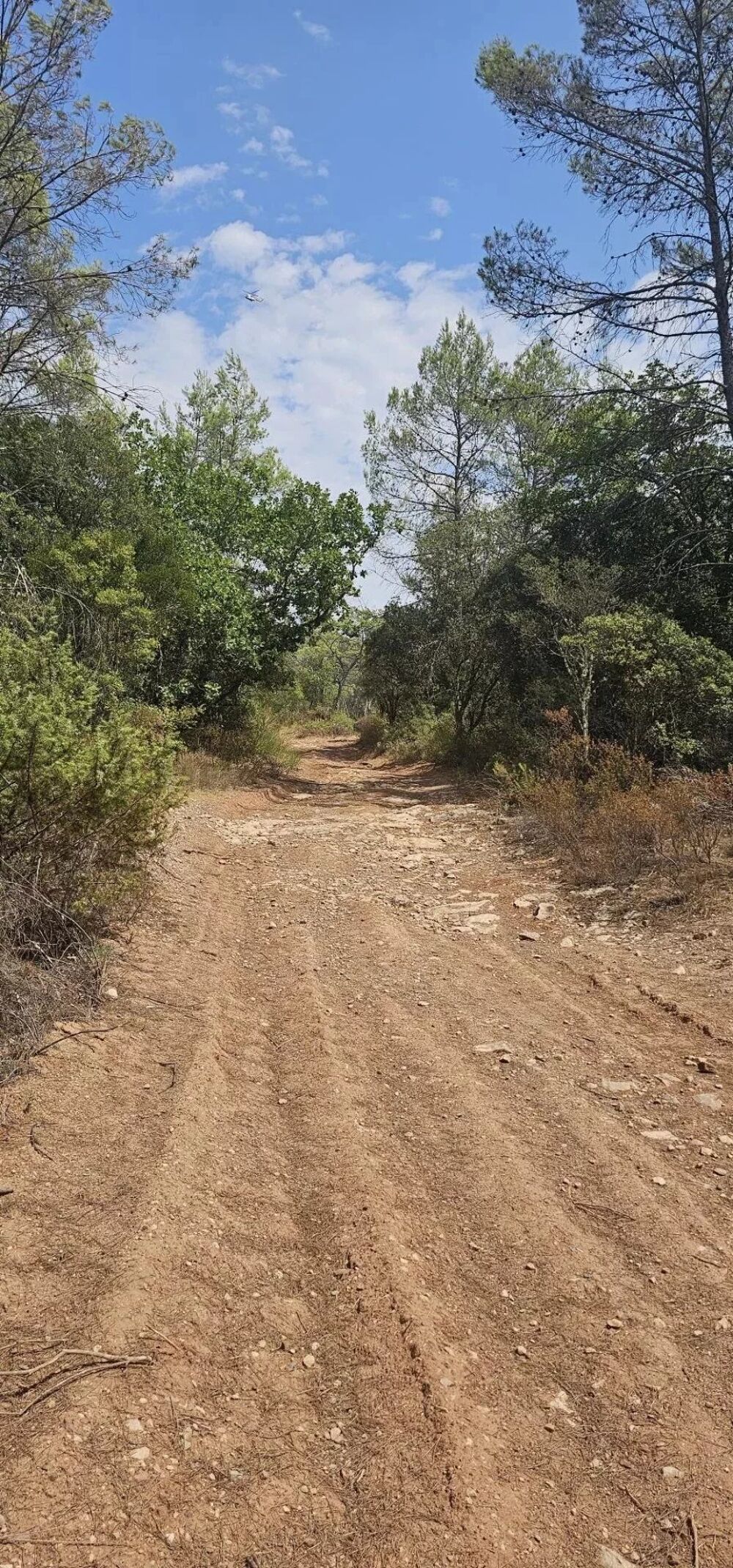 Vente Terrain Terrain non constructible à vendre à Cabasse Cabasse