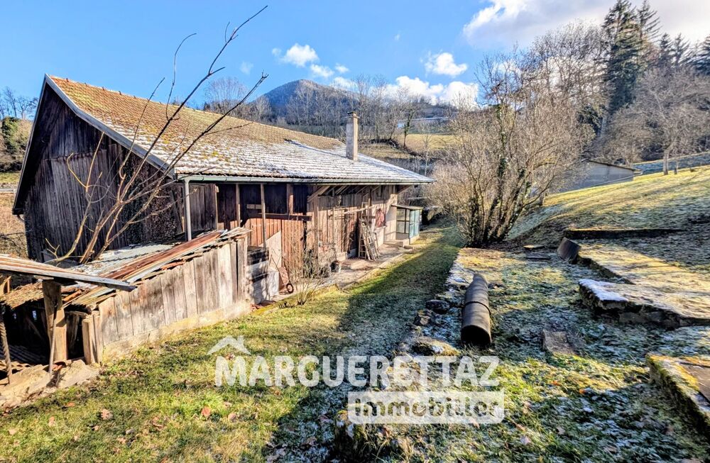 Vente Maison Ancienne bâtisse à rénover sur 4884m² de terrain (Zone N) Saint-jean-de-tholome