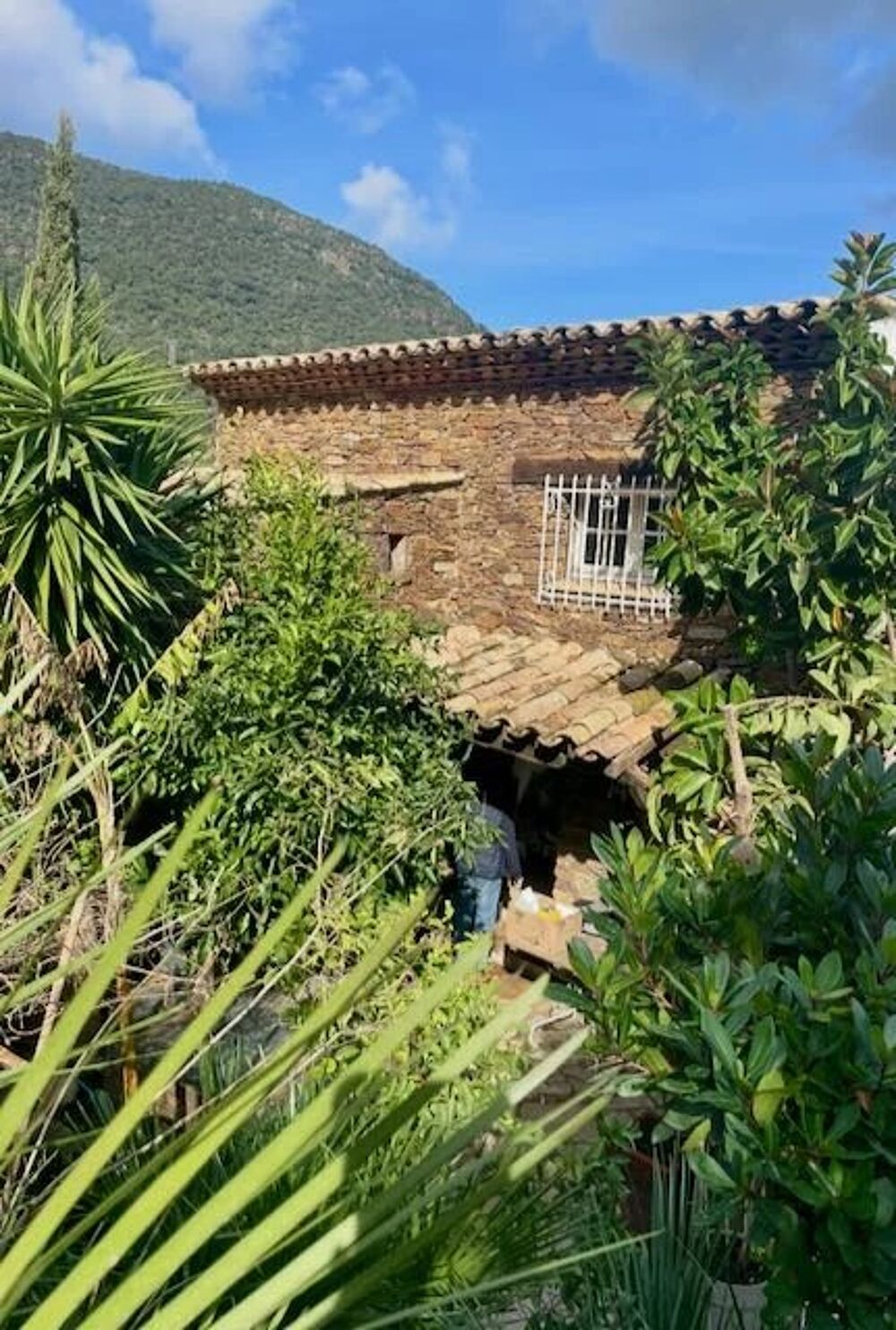 � vendre  Maison Cavalaire-sur-Mer (83240)