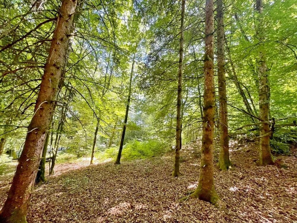 Vente Maison Exclusivité/Bourgogne, Parc du Morvan, Secteur GOULOUX, chalet 4 Gouloux