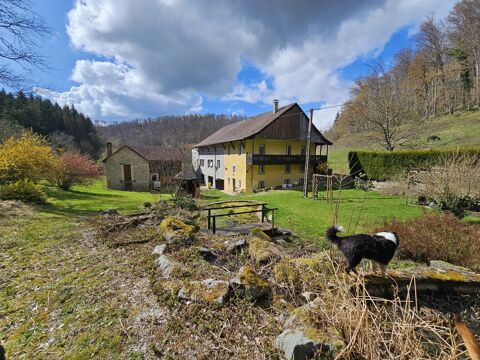   EXCEPTIONNEL  DOMAINE !  Proche Suisse Maison - 5 pièce(s) - 177 m²