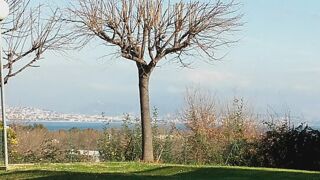  Appartement � vendre 2 pi�ces 50 m�